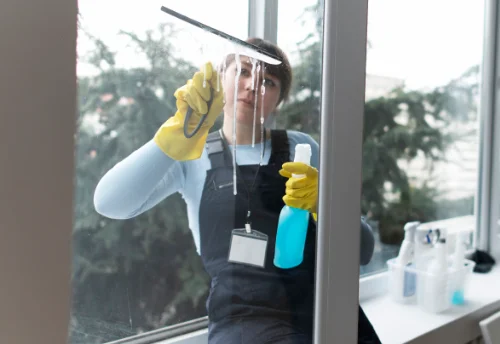 Nettoyage de vitres intérieures et extérieures à Saint-Laurent-sur-Gorre